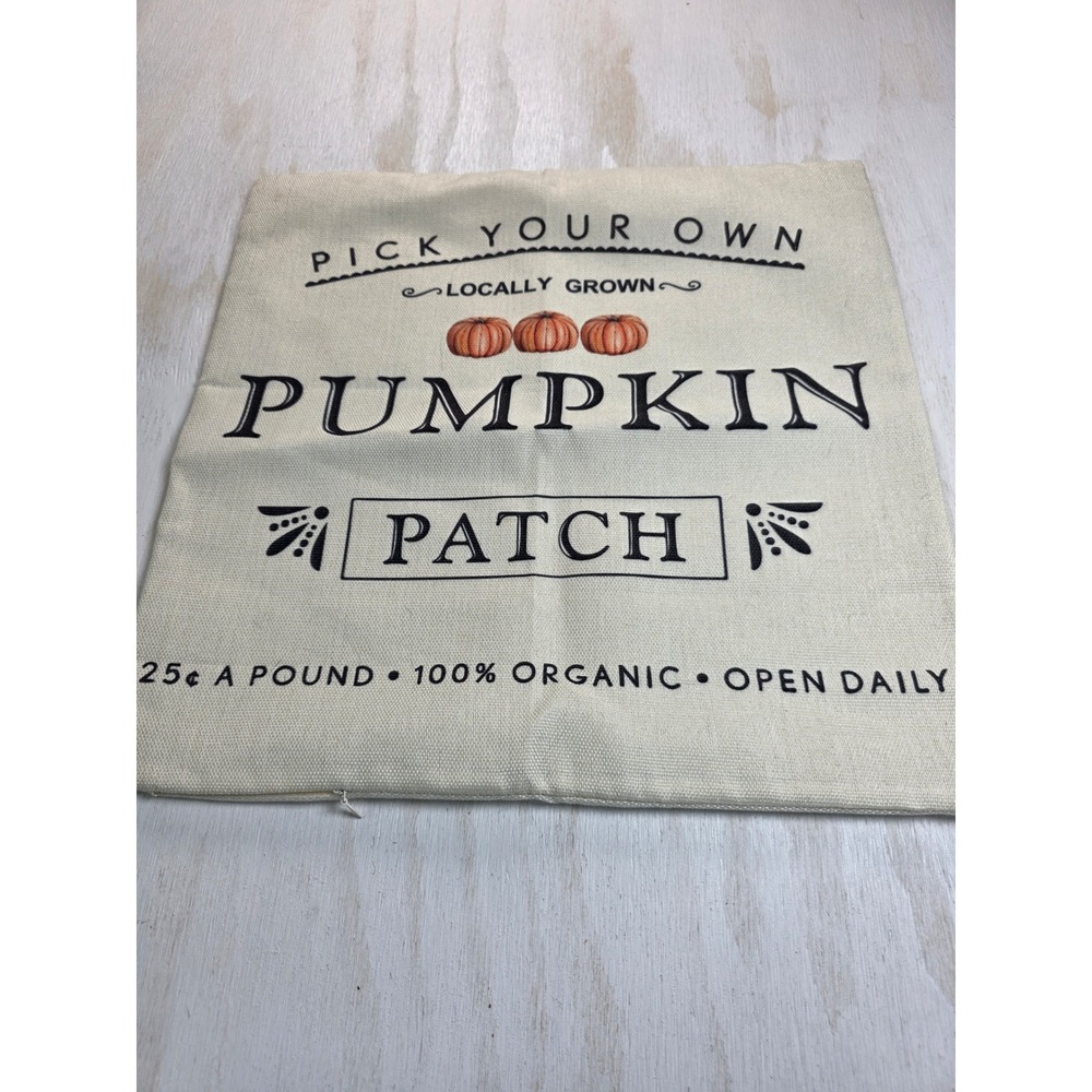 Pumpkin Patch Fall Throw Pillow Cover Rustic Farmhouse Autumn Decor 17.5x17.5